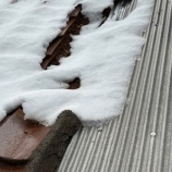 『土葺き屋根雨漏り補修工事』の画像