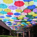 2025城町アンブレラスカイを撮ってきました☂️📸（館林市）