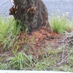 鎖屋兄弟の奮闘記