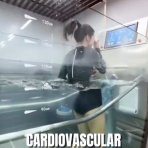 お料理速報