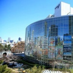 ニュースチャンネル