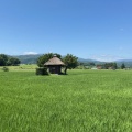 8��ޤȤ�