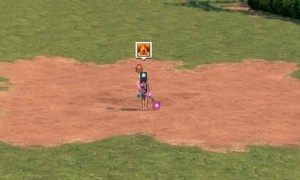 キャンプファイアで経験値ポーションを焼却すると何経験値になるのか