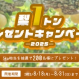 『プリティ長嶋さん絶賛！千葉県産梨プレゼントキャンペーン』の画像