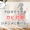 ドテラのアロマ・ティーツリーでカビ対策　お掃除レシピの作り方