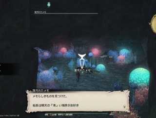 【FF14】今のIDって道中が単調すぎない？昔のように謎解き要素や分かれ道があってもいいと思うんだが・・・