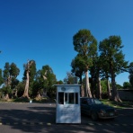 Dさんのタイ日記Ⅱ