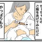 ちーちゃんっ🐾