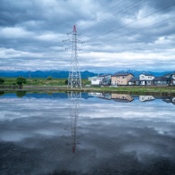 湛水