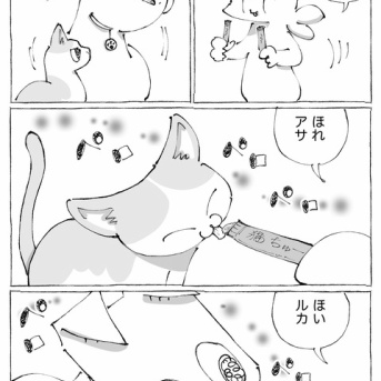 うちの犬のルカ。【９３】