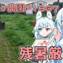 前回の草刈りの続きから始まってきれいになったのでニコニコ