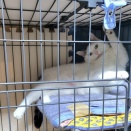 蓮くんのスケジュール📝