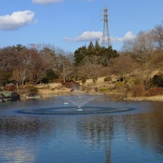 スラムのNBAトーク