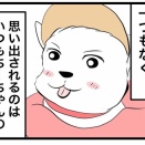 🐶皆さんへちーちゃんからご報告です🐾