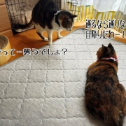 天竺はもうそこかも。