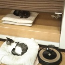たったそれだけの事