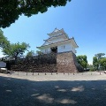 難攻不落小田原城のアジサイと花菖蒲