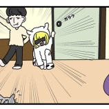 『チンチラの仲間入りをするための準備をしてみた』の画像