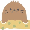 日本にいる筈なのに見た事ない動物「モグラ」「コウモリ」 	