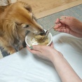 今を生きる　〜食事〜