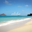 限定のマカダミアナッツのクッキー♪