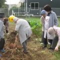 【グループホームおゆみ野苑】芋ほり