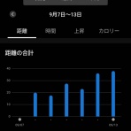 アルスのマラソントレーニング日記