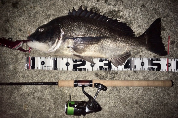 シーバスアングラー桃太郎 バチ抜け