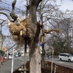 散歩と旅ときどき温泉