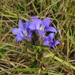 大浦からの便り