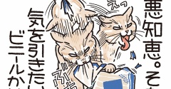 悪知恵