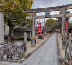 まるで、他人事です