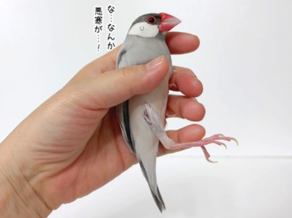 心の声が漏れる