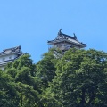池田～大野～九頭竜　(*ΦωΦ*)にゃー