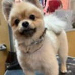 お客様のご紹介