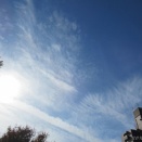 散歩♬空を＆『50歳の顔はあなたの功績』