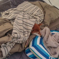 今年最後のお泊まりキャンプ