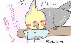 イライラ…おやつにあたるインコ