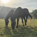 『兄弟』の画像