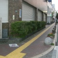 高知のご当地そんぐ・その３（武市瑞山と吉田東洋）