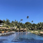 旅とかホテルとかお酒とか