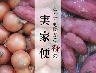 息子(小3)、夜中のくしゃみと秋の実家便と直売所で買った野菜