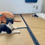 『一太郎、Muddy Catメンバーへの道 その2』の画像