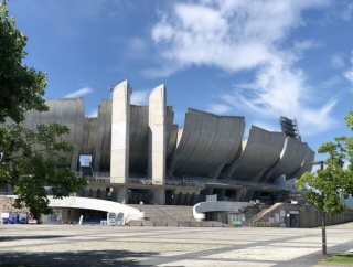依然として日本のスポーツ界には「サル山」が乱立している