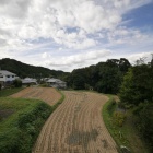 『奈良・飛鳥稲　2019/11/04』の画像