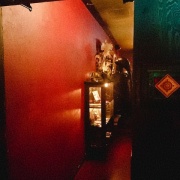 サソリの姿揚げ いざアマゾンクラブへ ゆずこと歩こ