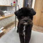 福岡 ペットショップ ワンラブ 福岡総本店 スタッフブログ