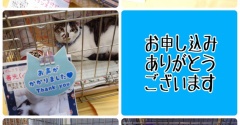昨日は秘密結社ねこのひげ譲渡会♪