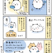 【エッセイ】数十年ぶりに推しができました