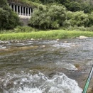 入れるも抜くも速い竿